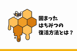 はちみつ-固まる-復活